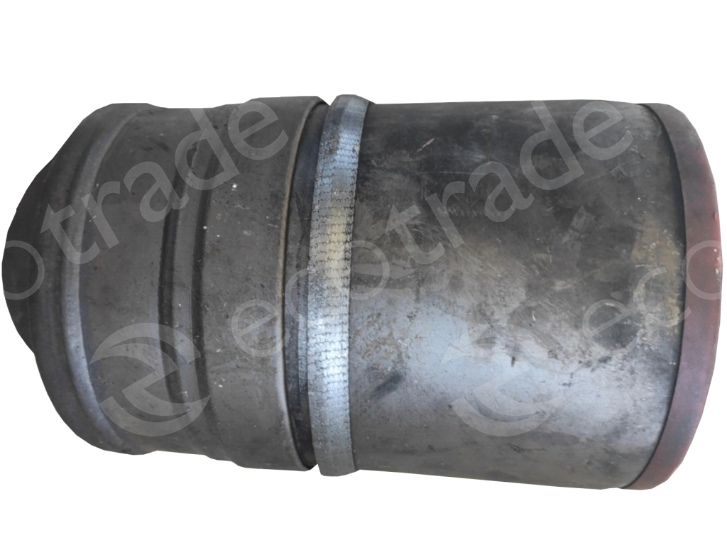 Citroën - Peugeot-TR PSA F007Catalytic Converters