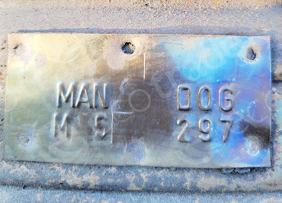 Ford-MAN DOGالمحولات الحفازة