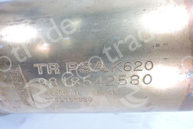 Citroën - PeugeotTennecoTR PSA K620उत्प्रेरक कनवर्टर