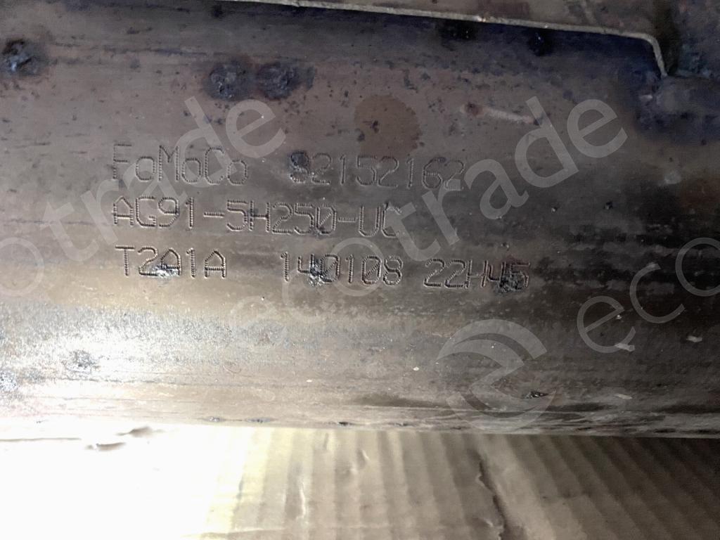 FordFoMoCoAG91-5H250-UCBộ lọc khí thải