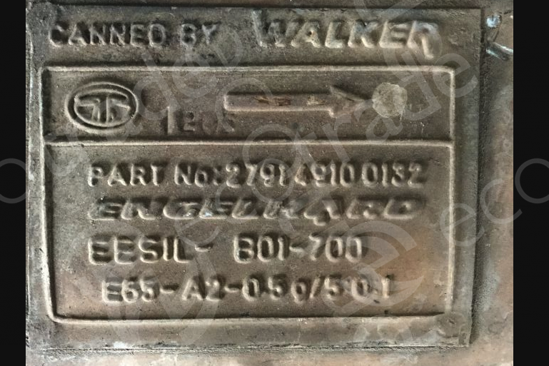 Walker-279149100132Catalizzatori