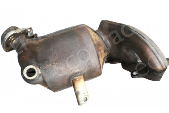 Renault-208A06467RCatalytic Converters