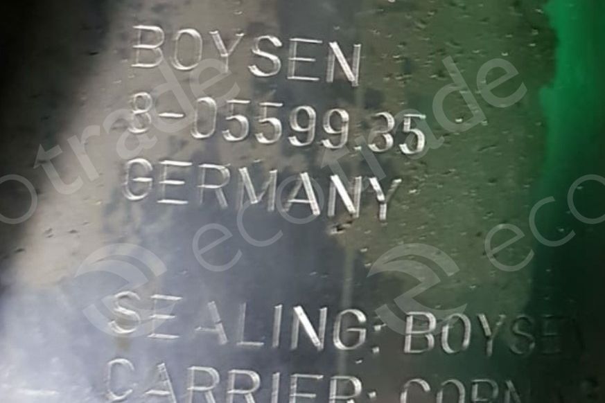 BMWBoysen80559935Catalyseurs