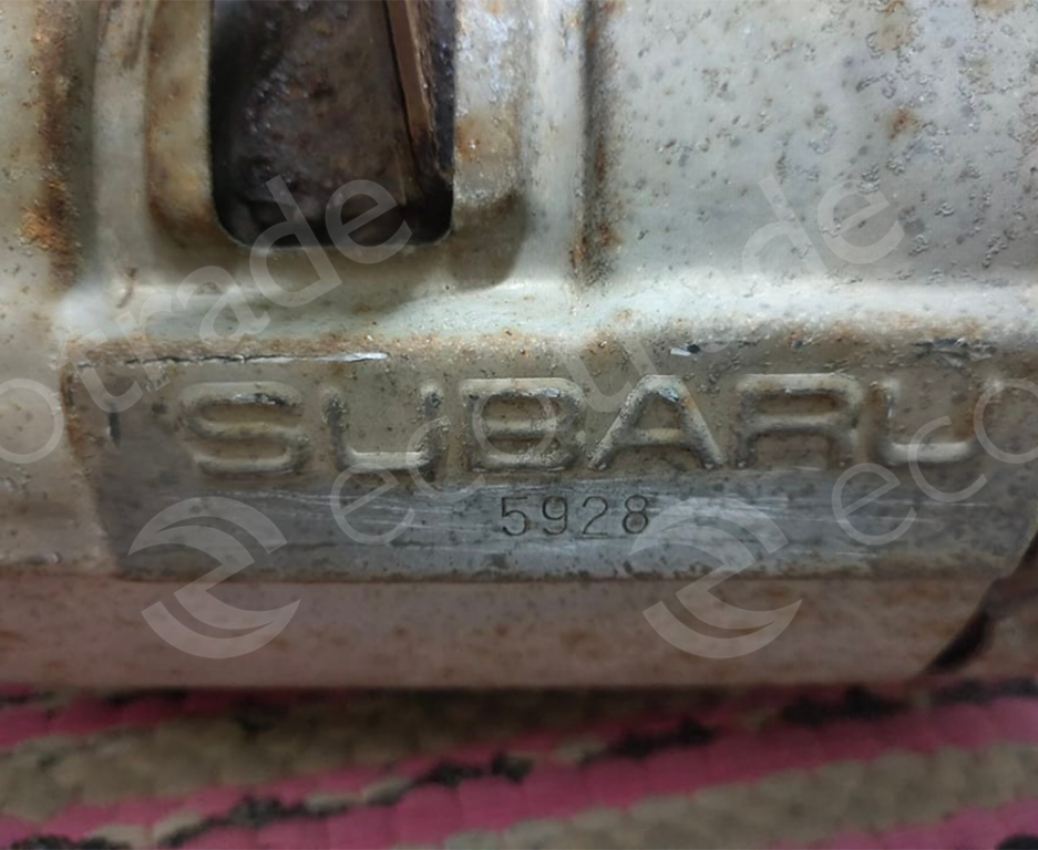 Subaru-5928Catalizzatori