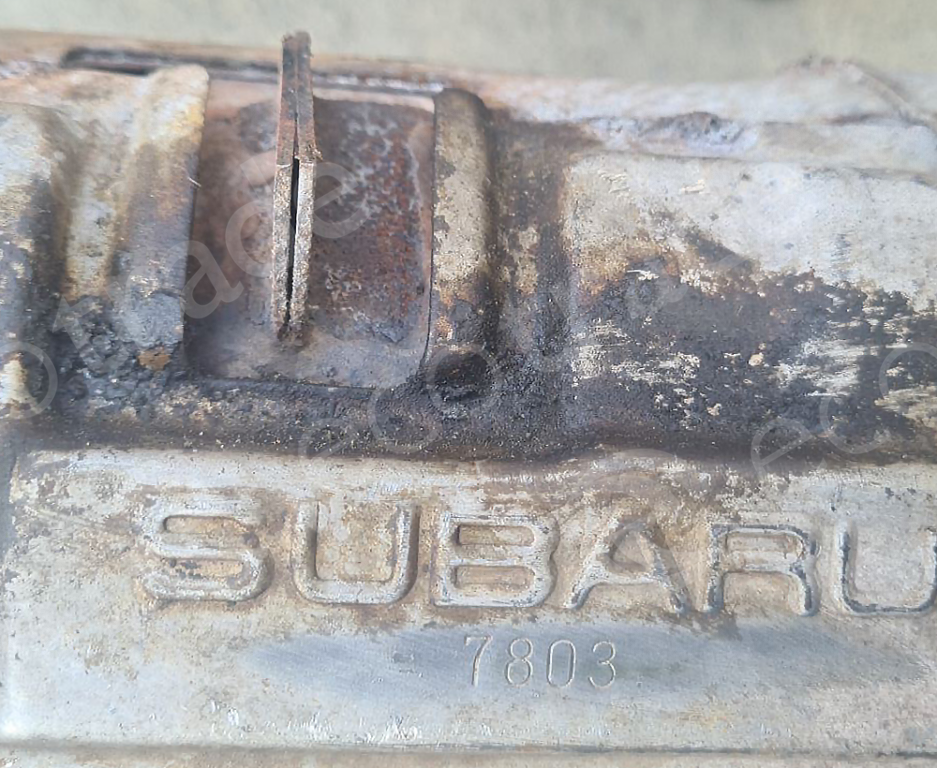 Subaru-7803សំបុកឃ្មុំរថយន្ត