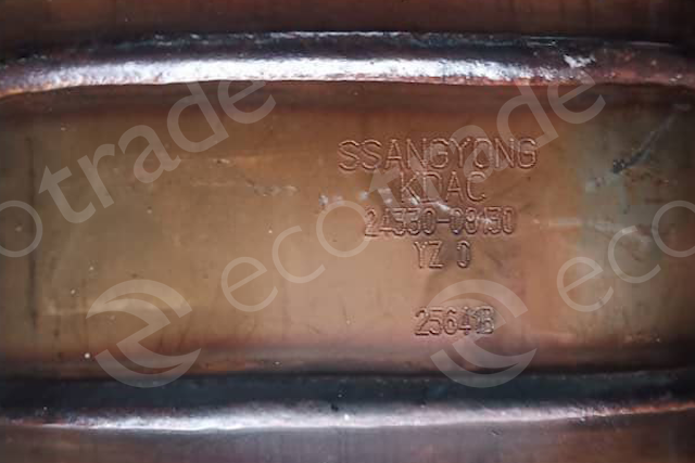 Ssangyong-24330-08430Bộ lọc khí thải