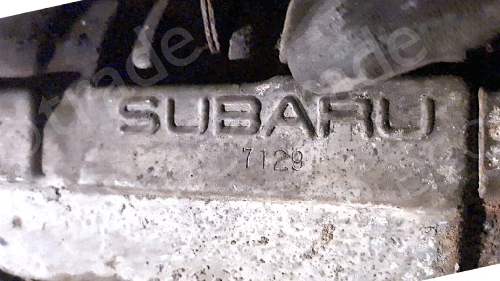 Subaru-7129Katalizatory