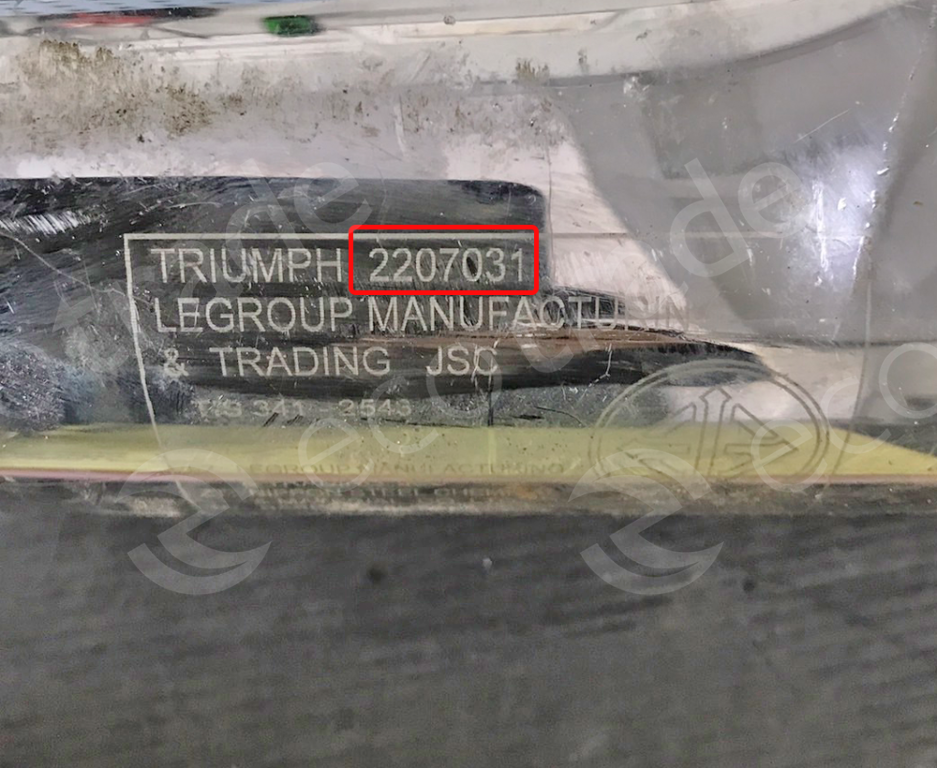 Triumph-2207031Bộ lọc khí thải