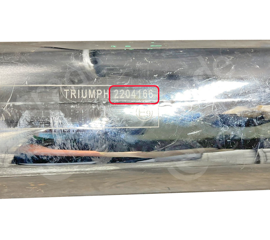 Triumph-2204166Catalizzatori