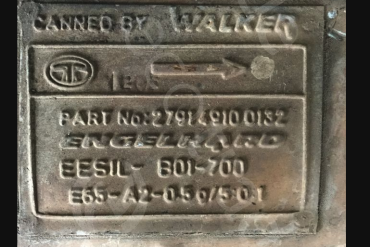 Walker-279149100132Catalizzatori