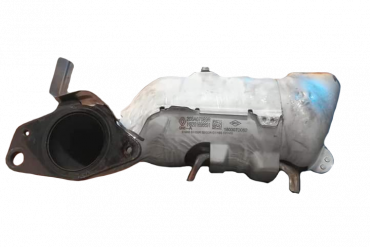 Renault-208A07089R H8201698891Catalytic Converters