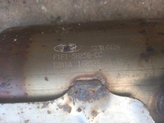 Ford-F1F1-5H250-CCCatalytic Converters