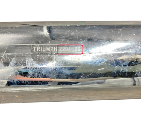 Triumph-2204166उत्प्रेरक कनवर्टर